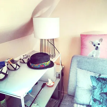 Studio Rue Olliffe Apartment *